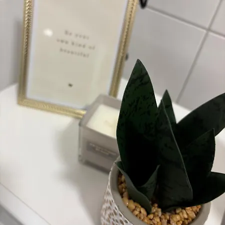公寓 Zentrales, Neumodernes Apartmentment Puettquartier No 3 Ibbenbüren