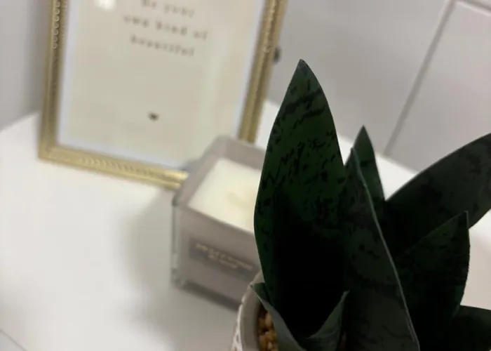 Appartement Zentrales, Neumodernes Apartmentment Puettquartier No 3 Ibbenbüren